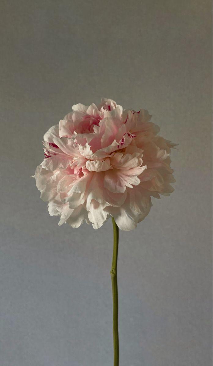 Whispers of Nature's Embrace Bouquet