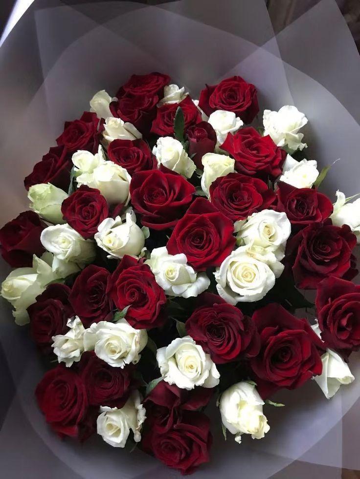 Secret Garden's Whispering Roses
